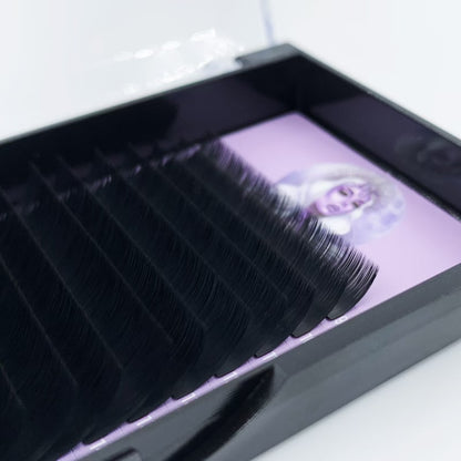 Black Mixed Lash Tray