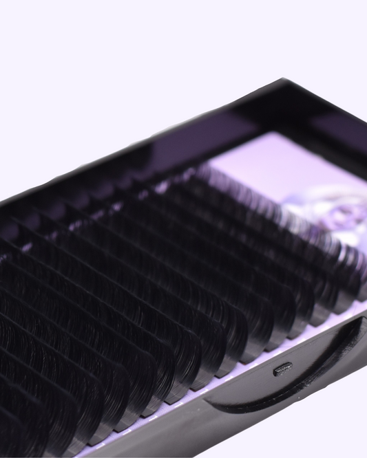 Black Mixed Lash Tray